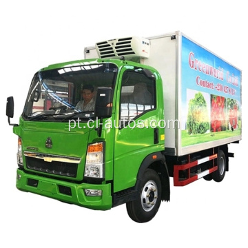 Howo 4x2 5tons Frutas e transporte vegetal Mini Caminhão Refrigerado